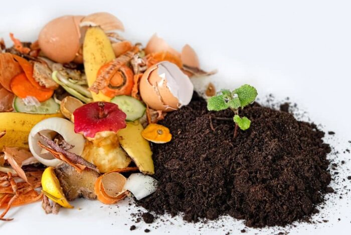 Compost made from food waste,